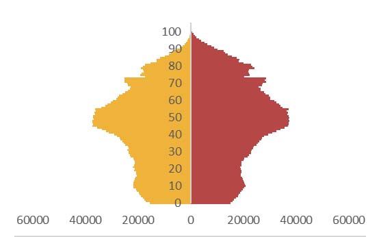 La piramide della popolazione dell'Emilia-Romagna nel 2019. In evidenza la numerosità dei baby boomers e la progressiva diminuzione nelle coorti successive.